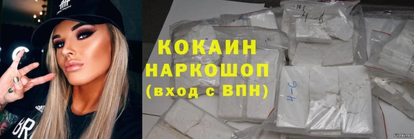 прущий лед Алзамай