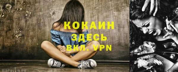 прущий лед Алзамай