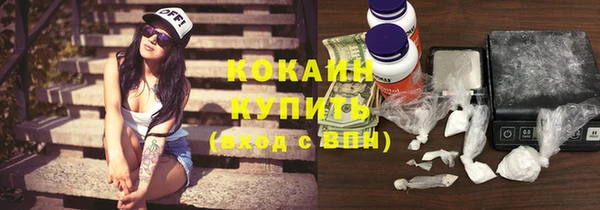 прущий лед Алзамай