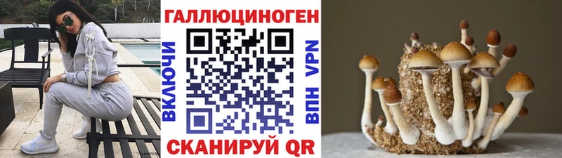 Галлюциногенные грибы Cubensis  где купить наркотик  Певек 